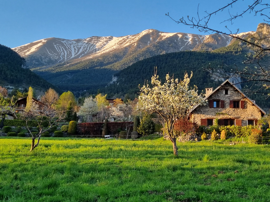 Grange au printemps